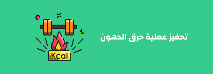 بروتين لتخفيف الوزن للنساء